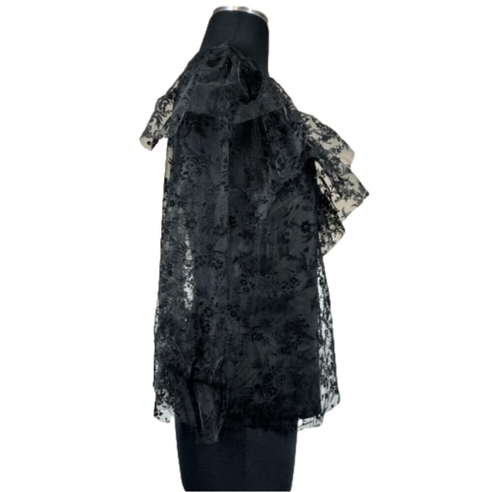 Zara Floral Tulle Ruffle Trim Blouse Top Black Sheer Velvet Lace Whimsigoth Sz L - Picture 3 of 13
